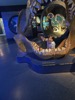 resIMG_20220611_154728_IMG_8715_HEIC.jpg